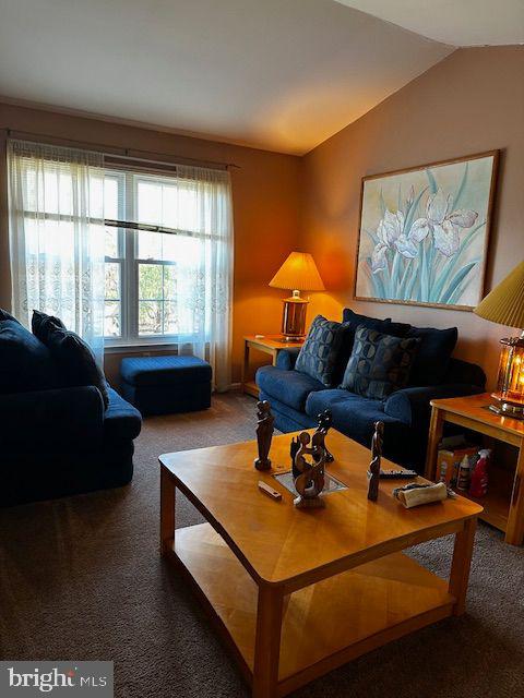 living room with carpet and vaulted ceiling