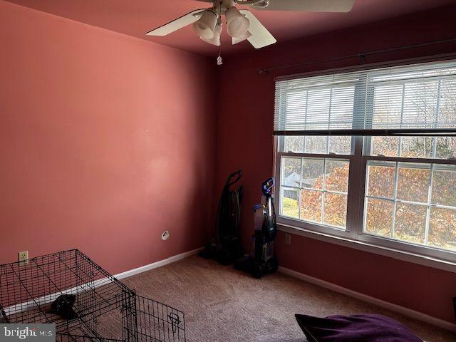 misc room with ceiling fan, carpet, and a healthy amount of sunlight