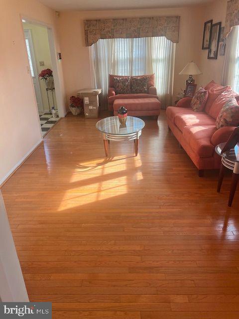 living room with hardwood / wood-style floors