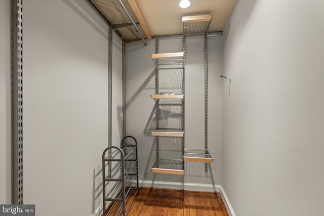 spacious closet with hardwood / wood-style floors