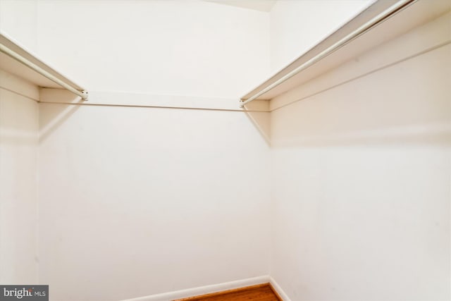 walk in closet featuring hardwood / wood-style flooring