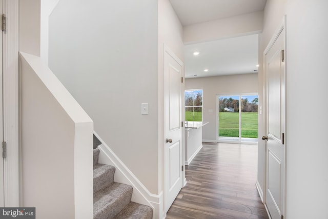 hallway featuring dark hardwood / wood-style flooring