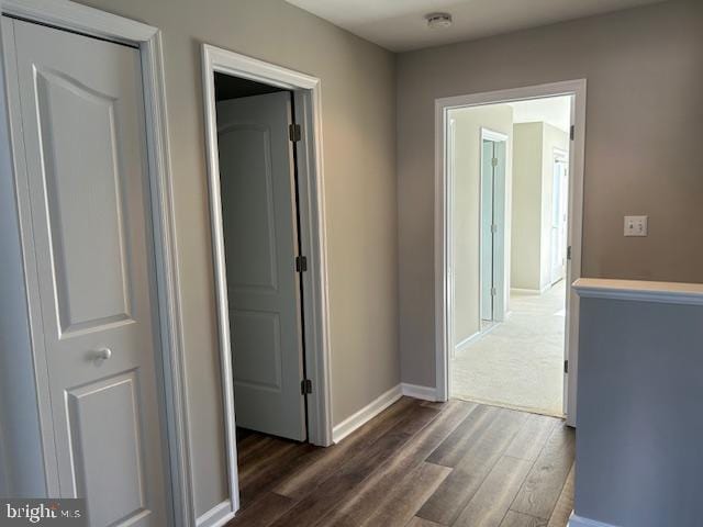 corridor with dark wood-type flooring