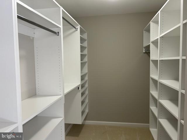 view of walk in closet