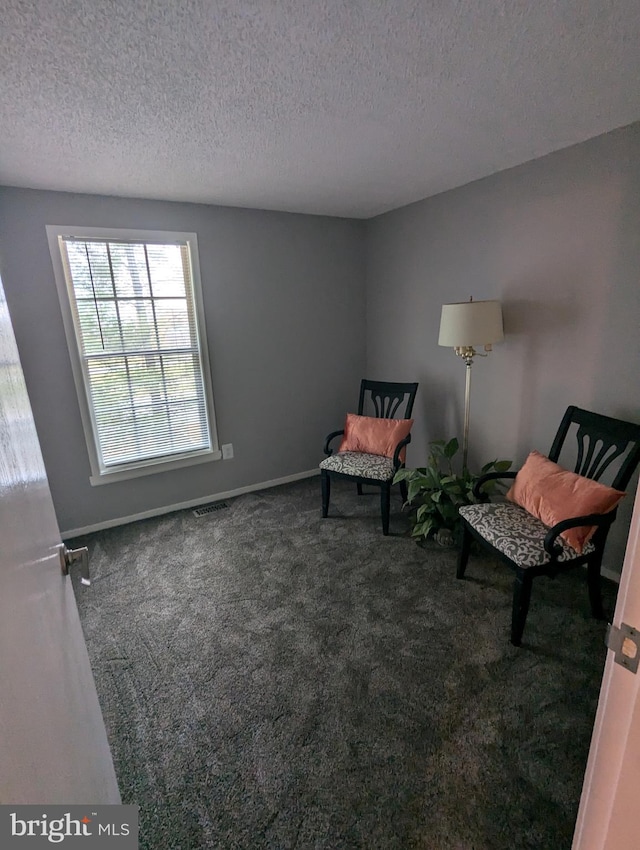 living area featuring a textured ceiling and carpet floors