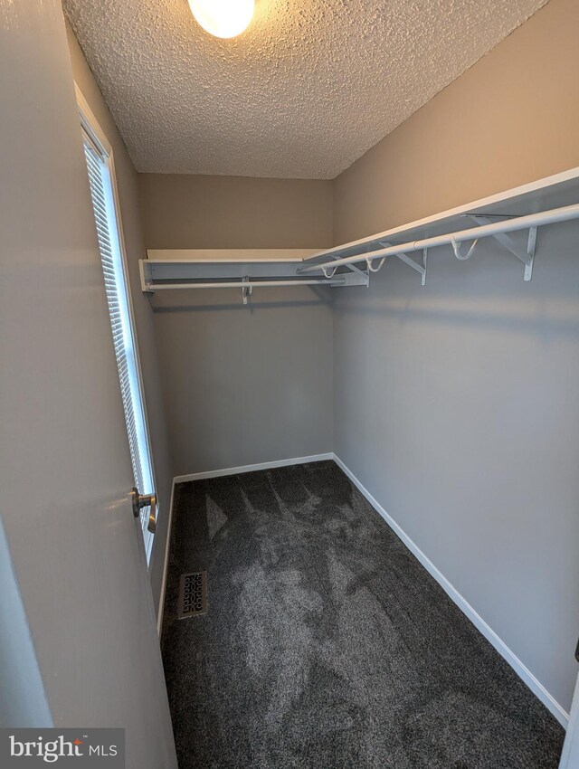 spacious closet featuring carpet floors