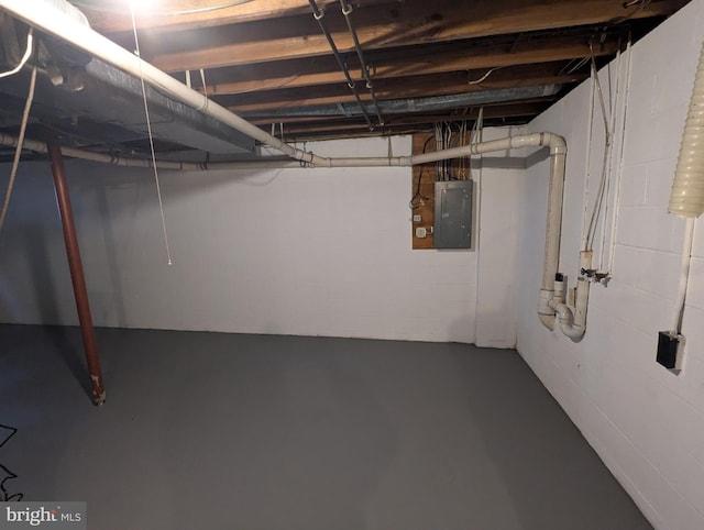 basement featuring electric panel