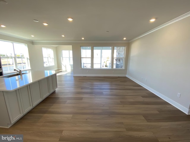 interior space featuring dark hardwood / wood-style flooring, crown molding, plenty of natural light, and sink