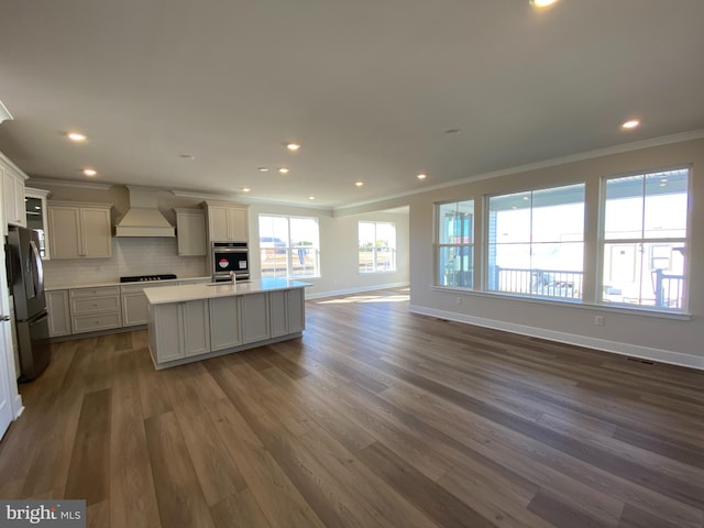 kitchen with custom exhaust hood, decorative backsplash, ornamental molding, appliances with stainless steel finishes, and dark hardwood / wood-style flooring