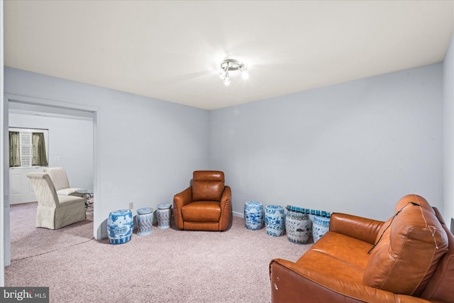 sitting room with carpet