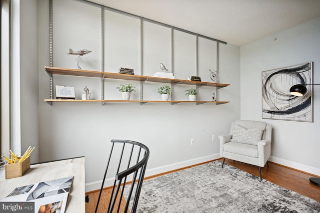 sitting room featuring hardwood / wood-style flooring