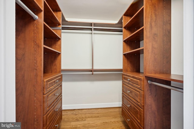 spacious closet with light wood-type flooring