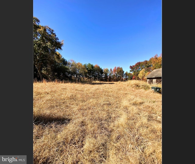 view of yard with a rural view