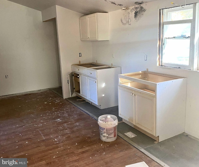 laundry area with wood-type flooring