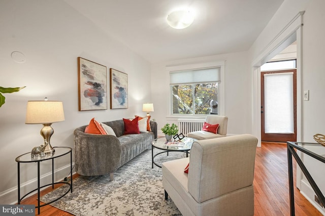 living room with wood-type flooring