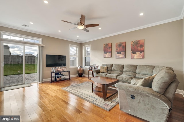 living room featuring ceiling fan, ornamental molding, and light hardwood / wood-style flooring