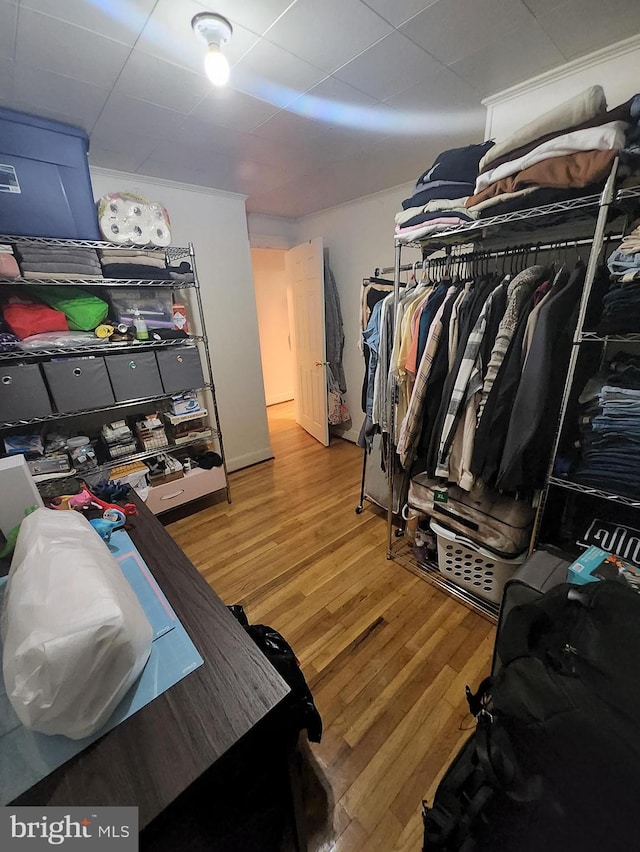 walk in closet featuring hardwood / wood-style floors