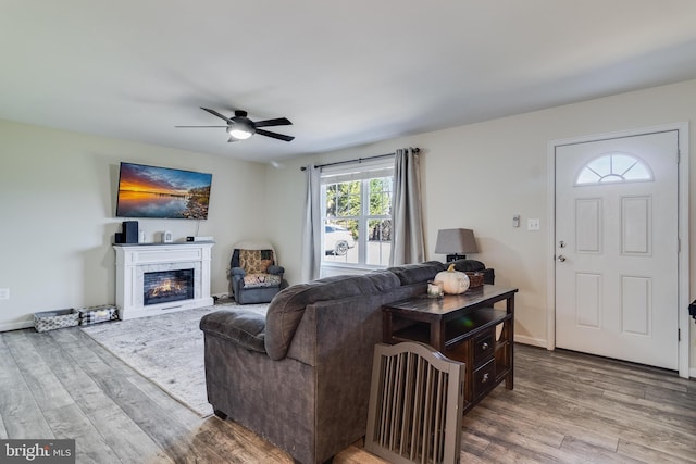 living room featuring ceiling fan and light wood-type flooring