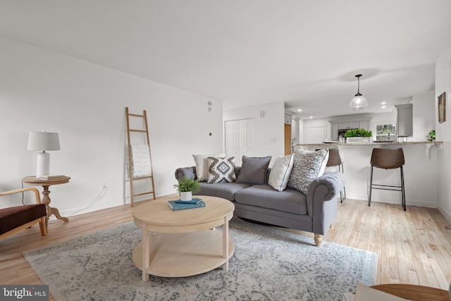 living room with light hardwood / wood-style flooring