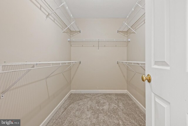 spacious closet featuring light carpet