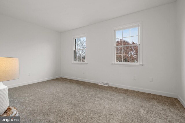 empty room with carpet and plenty of natural light