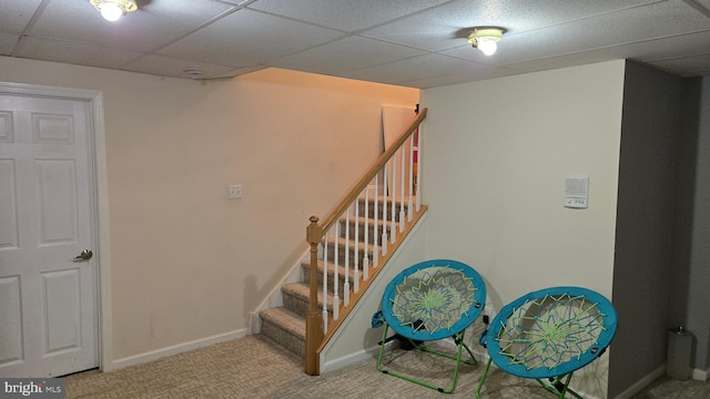 staircase with carpet flooring and a paneled ceiling