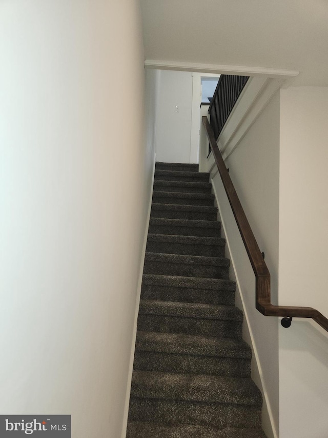 stairs with carpet