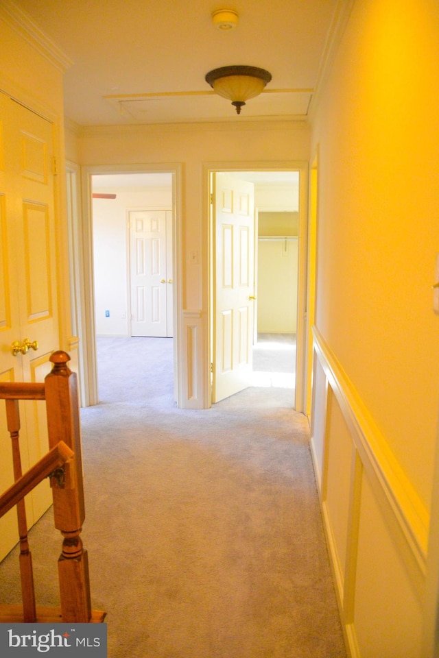 corridor featuring crown molding and light carpet