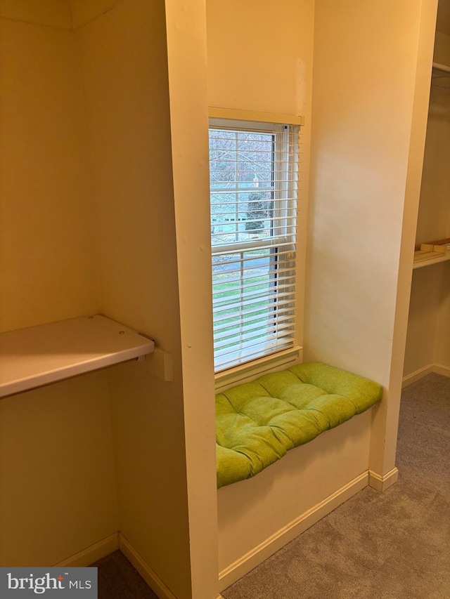 unfurnished room featuring carpet