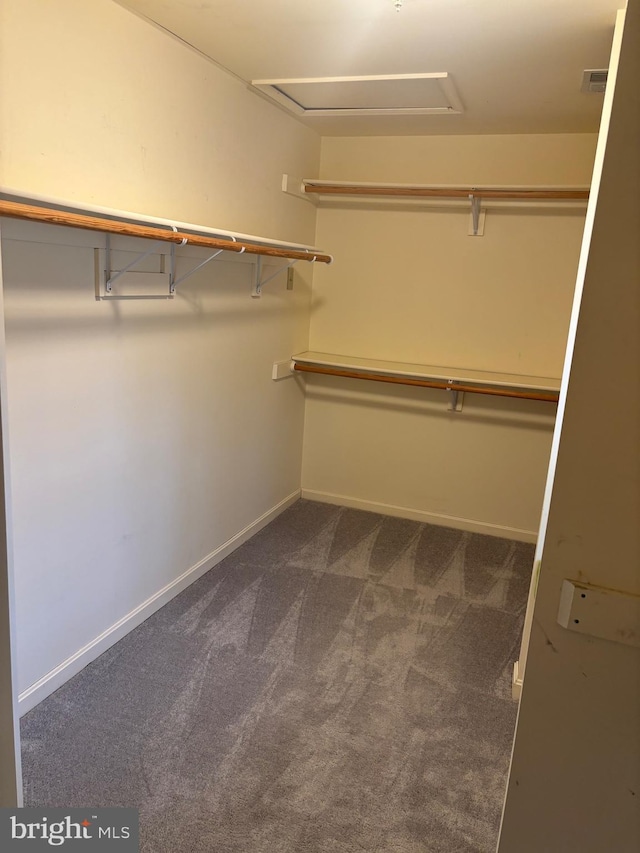 walk in closet featuring dark colored carpet