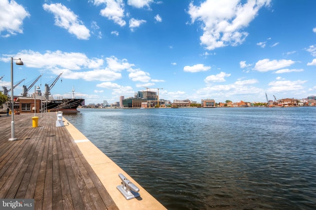 dock area with a water view