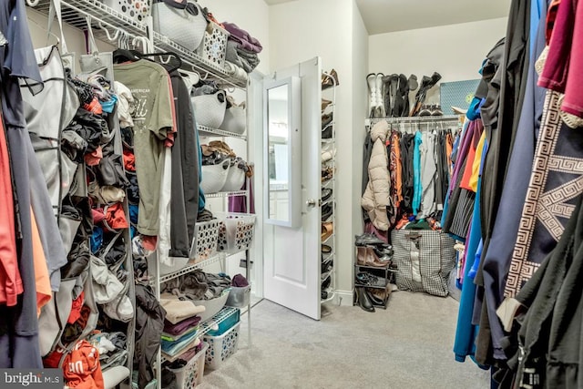 spacious closet featuring carpet floors