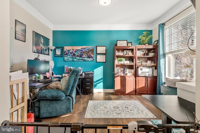 home office with ornamental molding and hardwood / wood-style floors