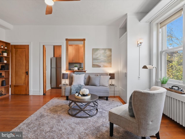 living room with radiator heating unit, light hardwood / wood-style floors, and ceiling fan