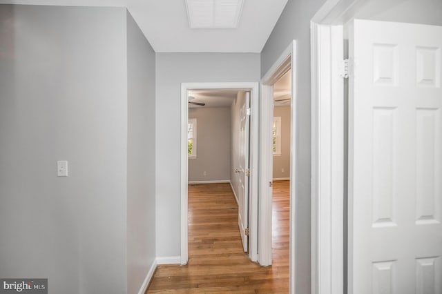 hall with hardwood / wood-style floors