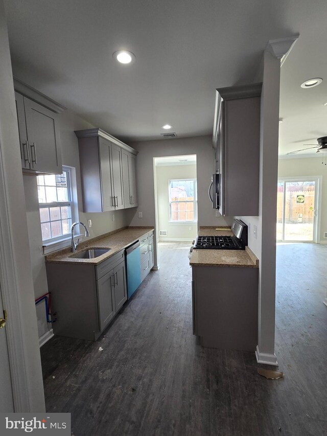 kitchen with plenty of natural light, dark wood-style flooring, gray cabinets, stainless steel appliances, and a sink
