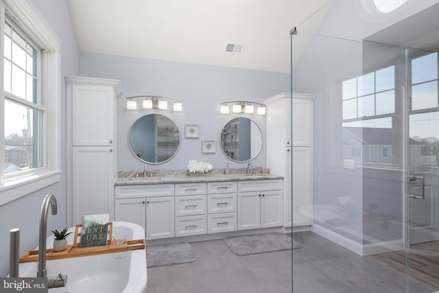 bathroom featuring vanity, vaulted ceiling, and walk in shower