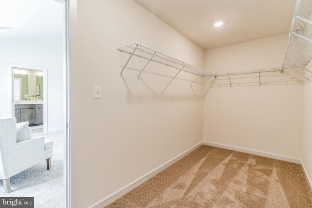 walk in closet with carpet floors