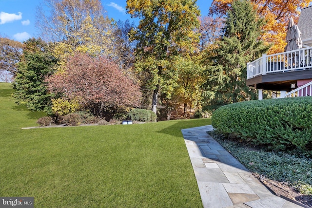 view of yard featuring a wooden deck