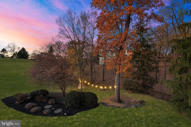 view of yard at dusk