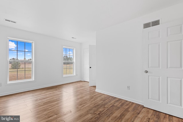 empty room featuring a wealth of natural light and wood-type flooring