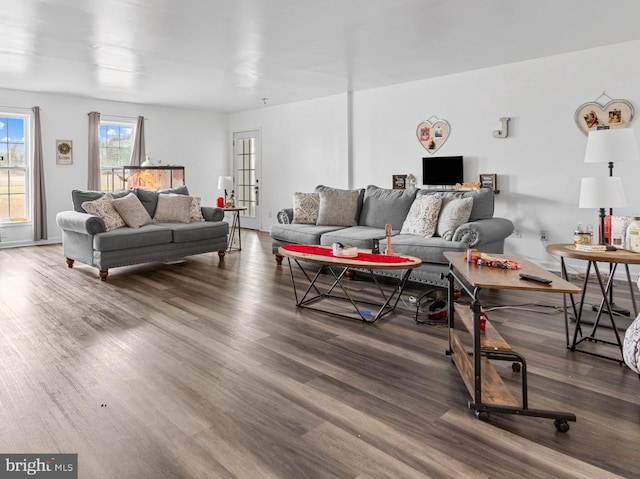 living room with hardwood / wood-style flooring