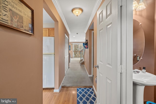 hallway with light hardwood / wood-style floors and ornamental molding