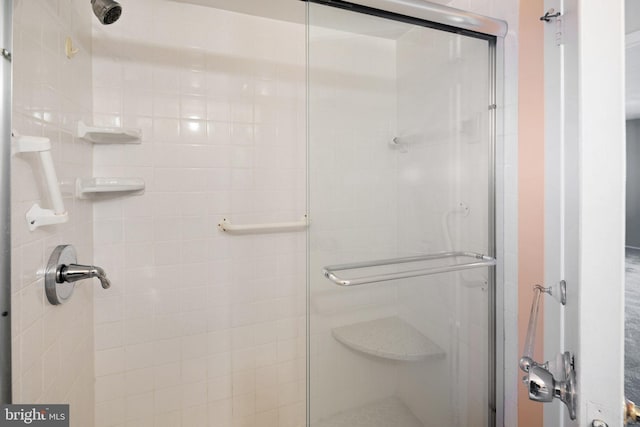 bathroom featuring a shower with shower door