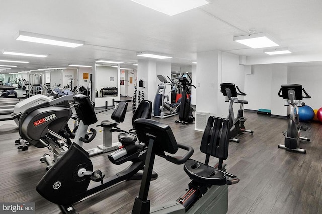 workout area featuring hardwood / wood-style flooring