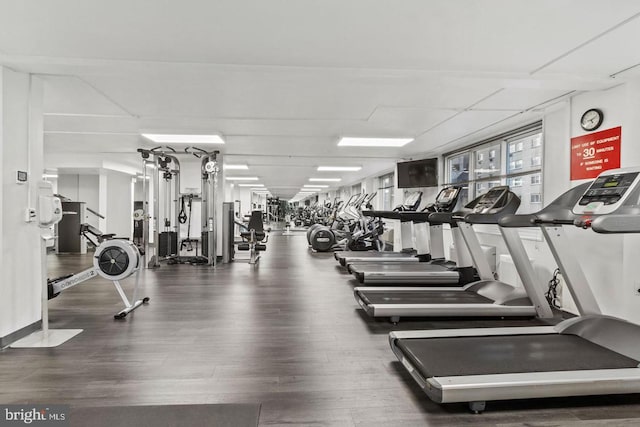 workout area featuring dark hardwood / wood-style floors