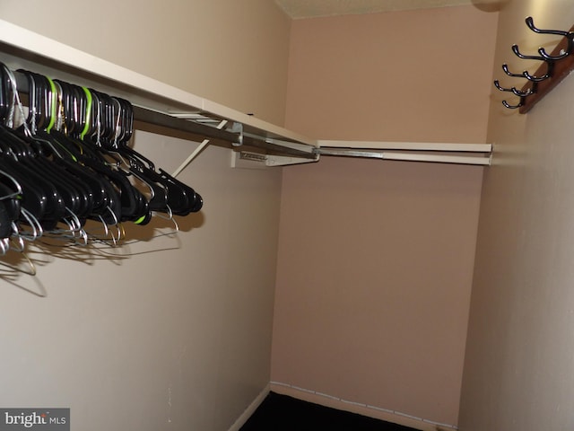 view of spacious closet