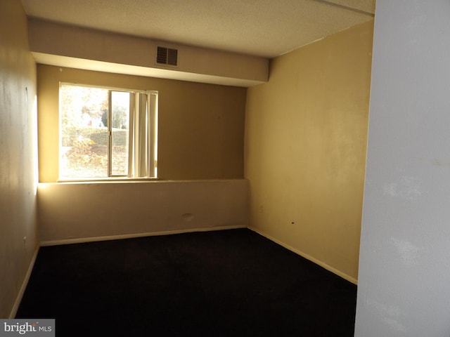 spare room featuring carpet flooring and a textured ceiling