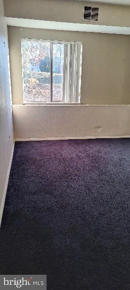 unfurnished room featuring carpet