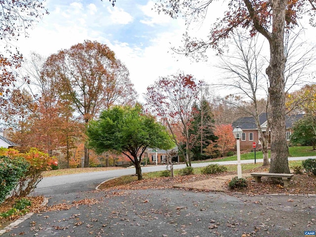 1790 Shelbourn Ln, Keswick, VA 22947 - view of road